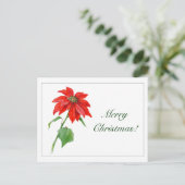 Vintage Christmas Red Poinsettia Flower シーズンポストカード (スタンド正面)
