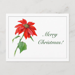 Vintage Christmas Red Poinsettia Flower シーズンポストカード