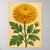 Vintage Chrysanthemum on Weathered Paper ポスター (正面)