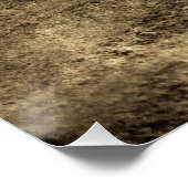 Vintage Crocodile ポスター (コーナー)