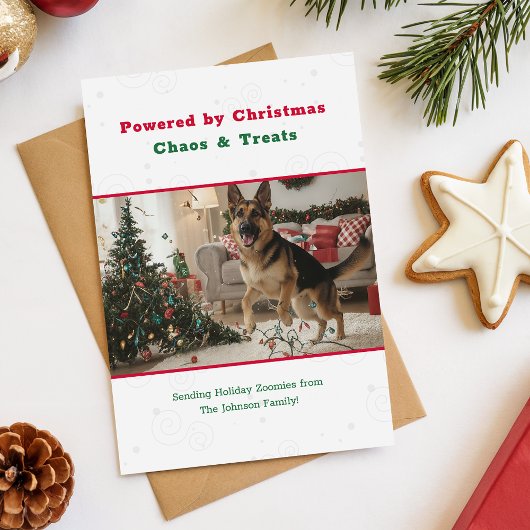 Vintage Cute Funny Dog Pet Photo Christmas シーズンカード