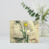 Vintage daisies postcard ポストカード (スタンド正面)