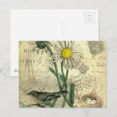 Vintage daisies postcard ポストカード (正面/裏面)