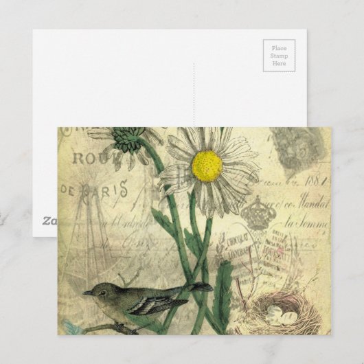 Vintage daisies postcard ポストカード (正面/裏面)