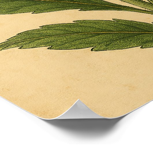 Vintage Daisy on Weathered Paper ポスター (角)