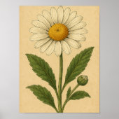 Vintage Daisy on Weathered Paper ポスター (正面)
