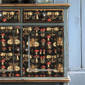 Vintage Dark Academia Moth and Mushroom 薄葉紙