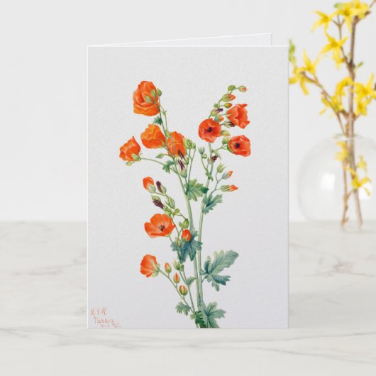 Vintage Desert Globemallow Botanical Illustration カード (黄色い花)