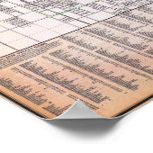 Vintage Detailed Chicago Map Poster 1882 ポスター (角)