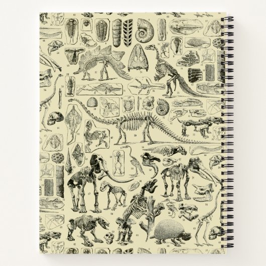 Vintage Dinosaur Bone Fossils Art ノートブック (裏面)