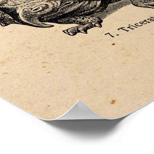 Vintage Dinosaur Illustration Retro Dinosaurs ポスター (角)