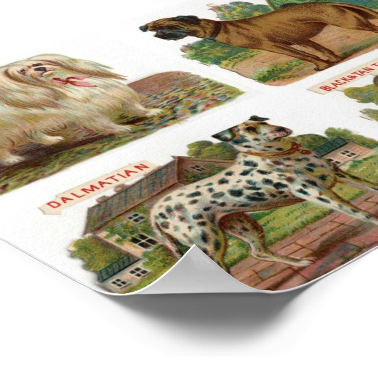 Vintage Dog Breed Illustration ポスター (角)