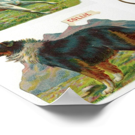 Vintage Dog Breed Illustration ポスター (角)