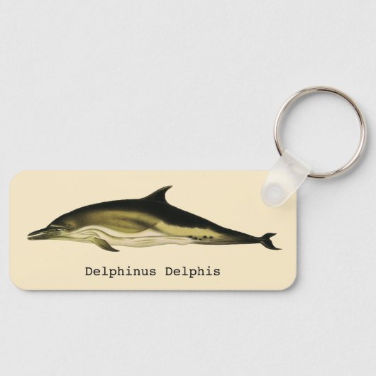 Vintage Dolphin Delphinus Delphis, Marine Mammals キーホルダー (正面)