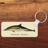 Vintage Dolphin Delphinus Delphis, Marine Mammals キーホルダー (正面)