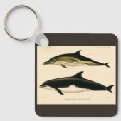 Vintage Dolphins, Marine Animals and Mammals キーホルダー (正面)