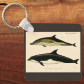 Vintage Dolphins, Marine Animals and Mammals キーホルダー (正面)
