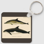 Vintage Dolphins, Marine Animals and Mammals キーホルダー (裏面)
