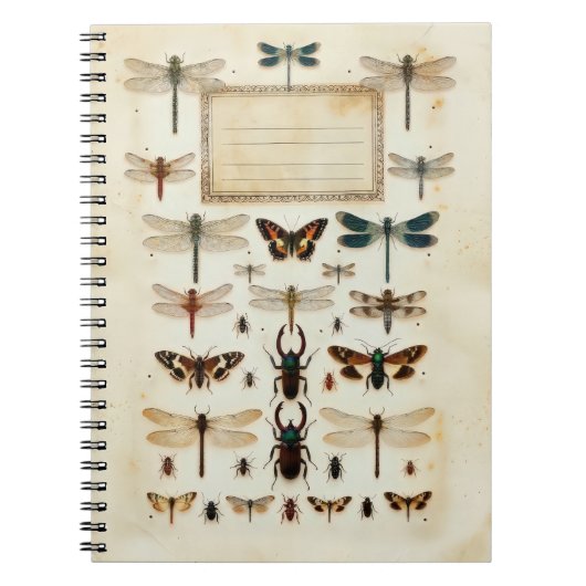 Vintage Dragonfly Beetle Taxonomy Specimen Chart ノートブック (正面)