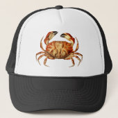 Vintage Dungeness Crab Illustration キャップ (正面)