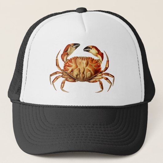 Vintage Dungeness Crab Illustration キャップ (正面)