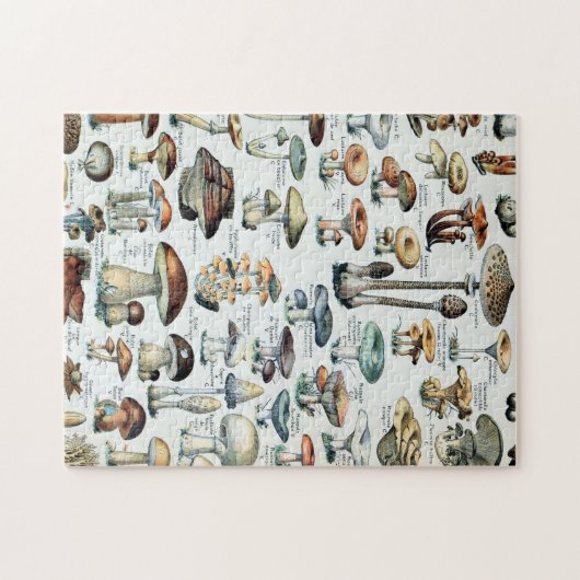 Vintage Edible Mushroom Chart ジグソーパズル (横)