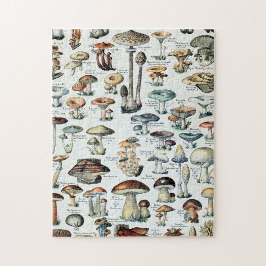 Vintage Edible Mushroom Chart ジグソーパズル (縦)