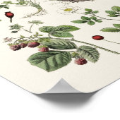 Vintage educational ポスター (角)