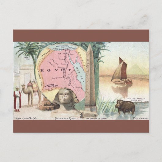 Vintage Egypt Map ポストカード (正面)