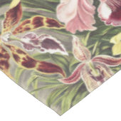 Vintage Ernst Haeckel Orchid Botanical Print テーブルクロス (アングル)