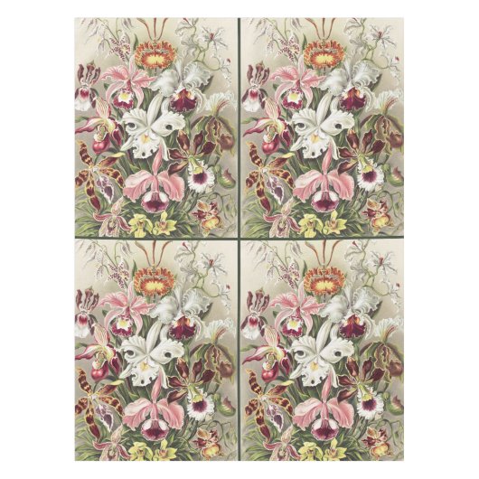 Vintage Ernst Haeckel Orchid Botanical Print テーブルクロス (正面)