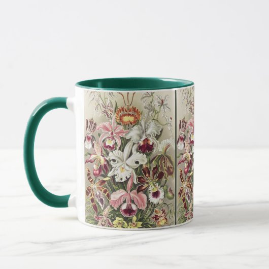 Vintage Ernst Haeckel Orchid Botanical Print マグカップ (左)