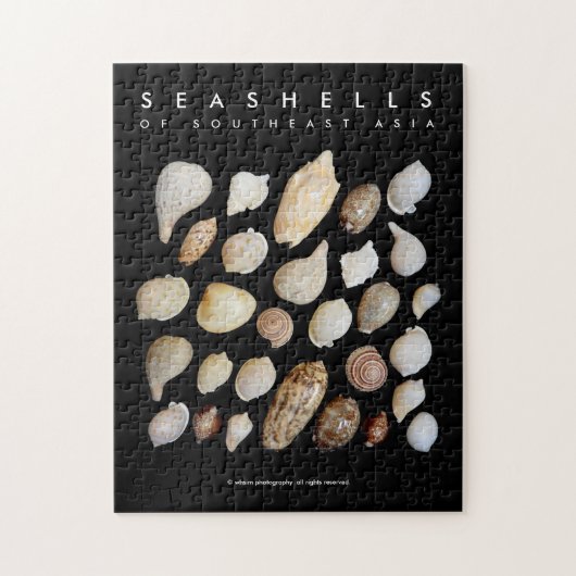 Vintage Exotic Seashells of Southeast Asia ジグソーパズル (縦)