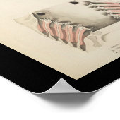 Vintage Fish Anatomy Print ポスター (角)