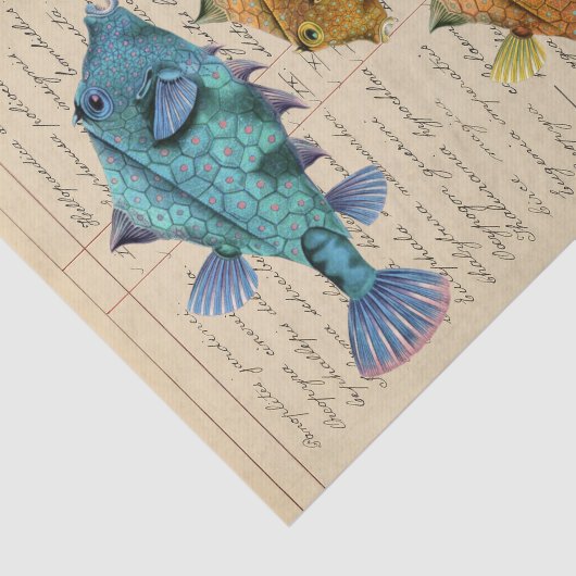 Vintage Fish decoupage 薄葉紙 (詳細)