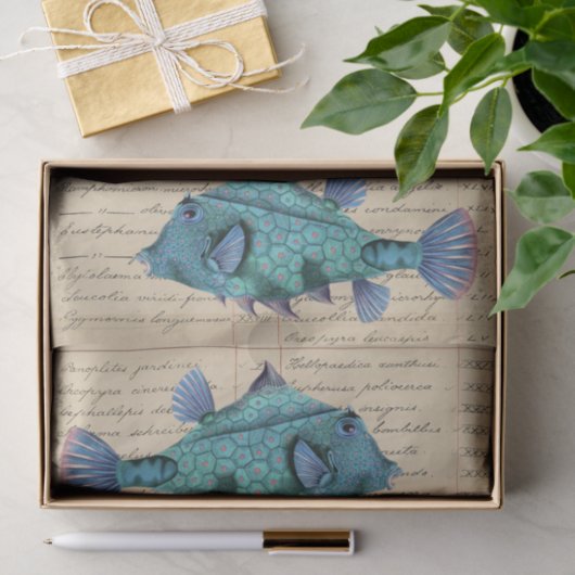 Vintage Fish decoupage 薄葉紙 (ギフト)