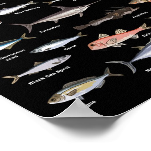Vintage Fish Identification Chart Fishing  ポスター (角)