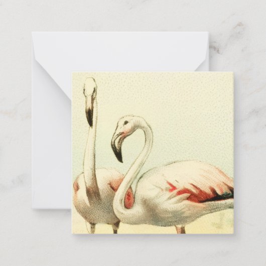 Vintage Flamingo ノートカード (正面)