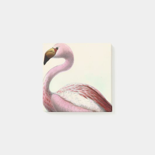 Vintage Flamingo ポストイット (正面)