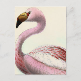 Vintage Flamingo ポストカード