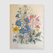 Vintage Flax and Cleome Botanical Illustration (正面)