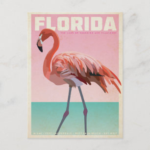Vintage florida flamigo travel postcard ポストカード
