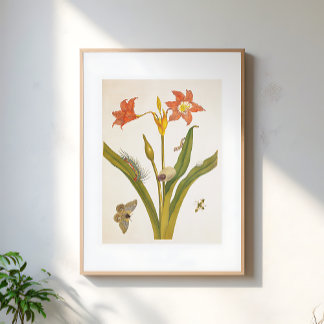 Vintage Flower Plant Botanical Illustration ポスター
