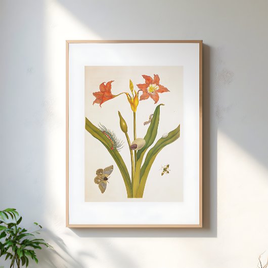 Vintage Flower Plant Botanical Illustration ポスター