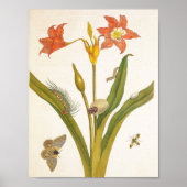 Vintage Flower Plant Botanical Illustration ポスター (正面)