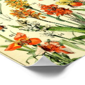 Vintage Flowers Old Illustration Art ポスター (角)