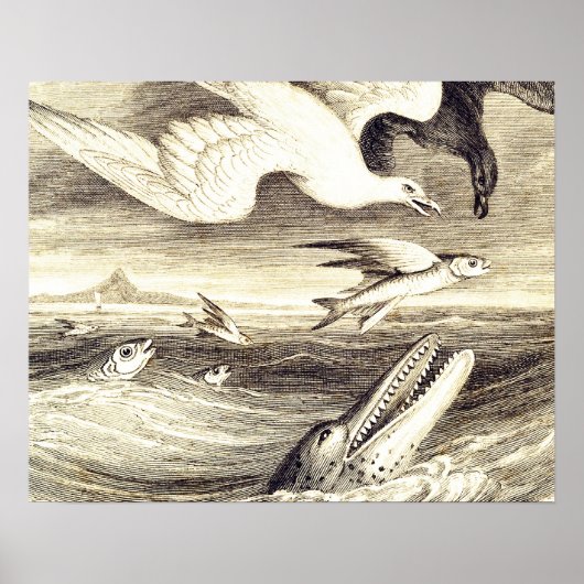 Vintage Flying Fish & Sea Bird Engraving - Custom ポスター (正面)