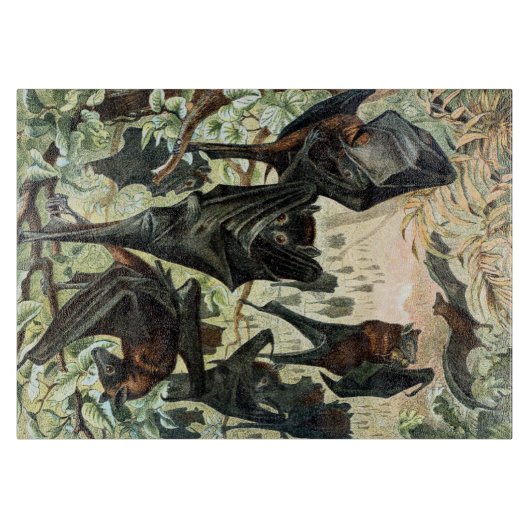 Vintage flying fox bat acadamia illustration  カッティングボード (正面)