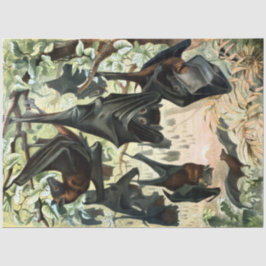 Vintage flying fox bat acadamia illustration 薄葉紙