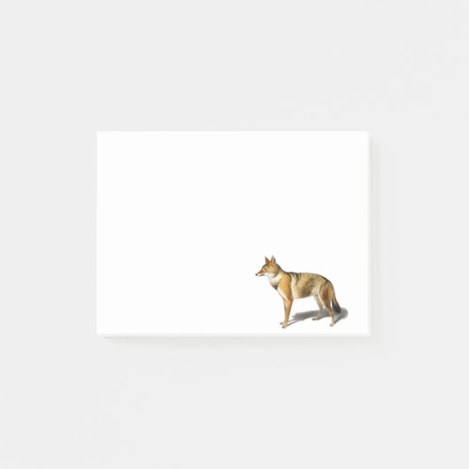 Vintage FOX WOLF golden Jackal illustration ポストイット (正面)